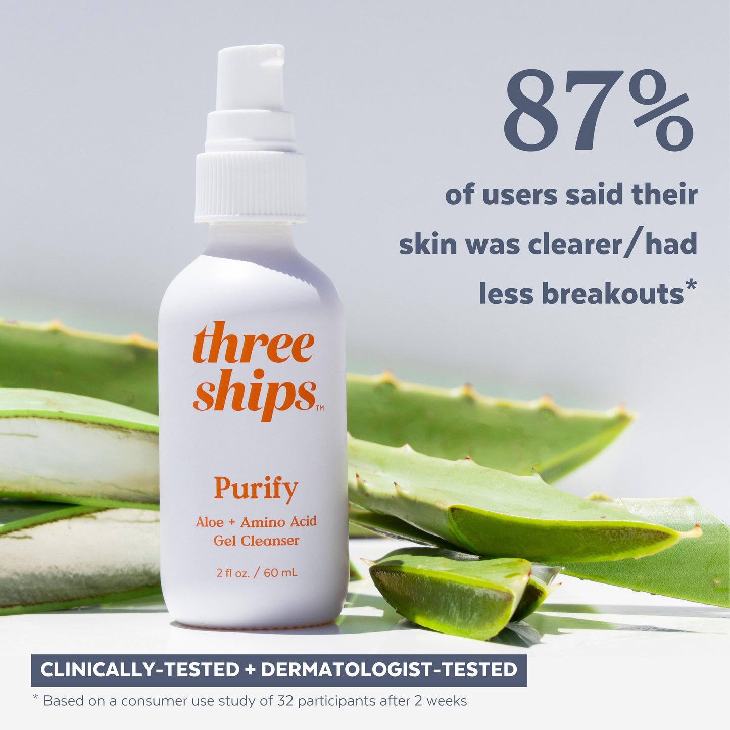 Three Ships Beauty Purify Aloe + Amino Acid Cleanser (60mL)