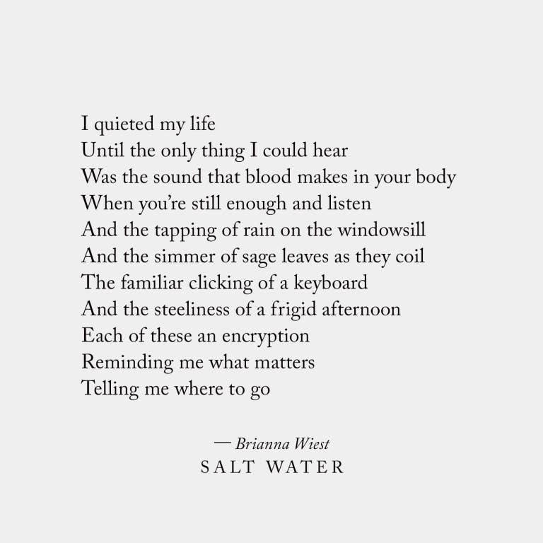 Salt Water Book by Brianna Wiest